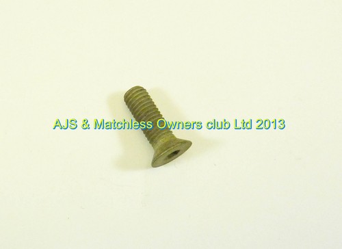 SCREW: BRAKE SHOE FULCRUM